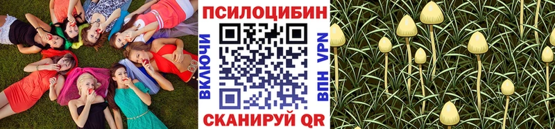 Купить где Заречный Псилоцибиновые грибы Magic Shrooms